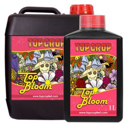 Top Bloom