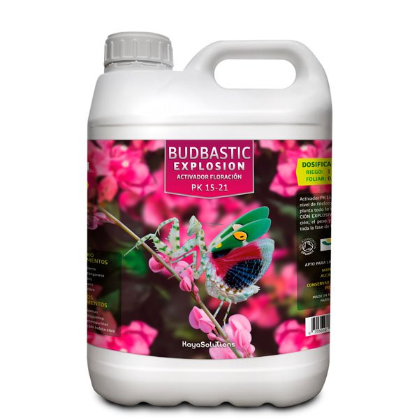 Budbastic Explosion - Image 3